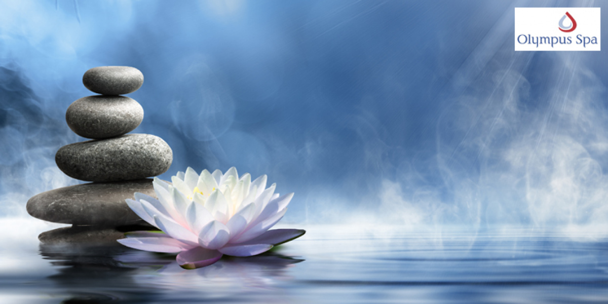 Olympus Spa $300 Gift Certificate!